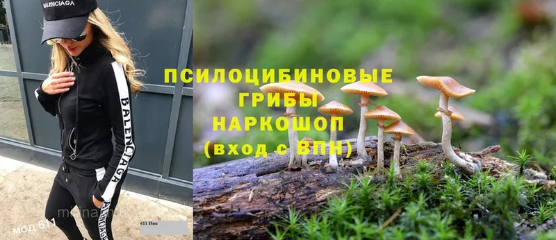 Псилоцибиновые грибы Magic Shrooms  где продают наркотики  Гай 